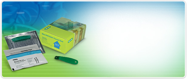 Mini-PROTEAN TGX Stain-Free Precast Gels