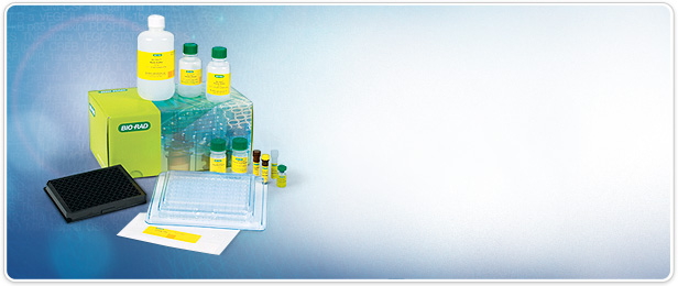Bio-Plex Pro Rat Cytokine, Chemokine, and Growth Factor Multiplex Assays