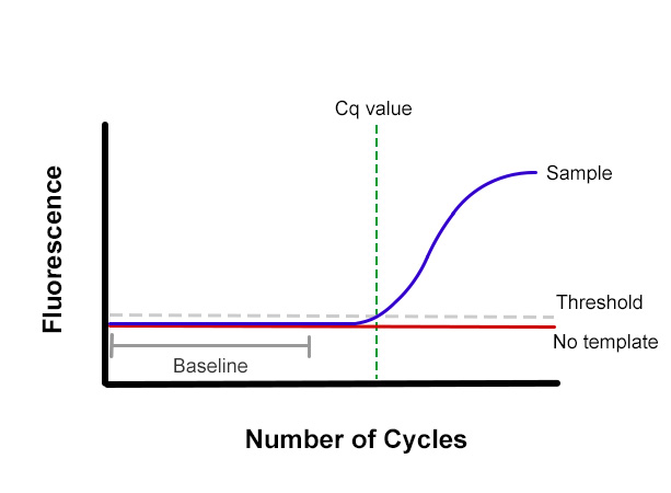 Identifying Cq Value for qPCR