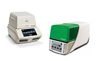 pcr systems for food applications