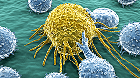 Cancer Cells Attacking Healthy Cells