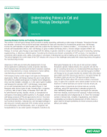 Understanding Potency in Cell and Gene Therapy Development