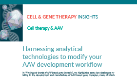 Harnessing Analytical Technologies to Modify Your AAV Development Workflow