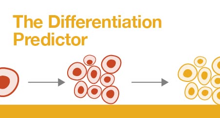 The Differentiation Predictor