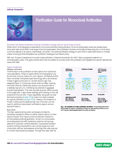 Monoclonal Antibody Purification Guide
