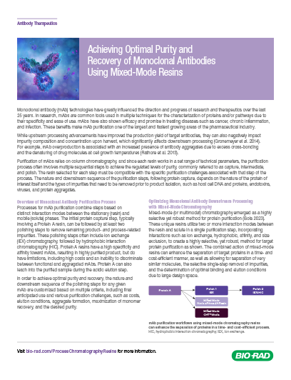 Optimizing mAb Purity and Recovery with Mixed-Mode Resins