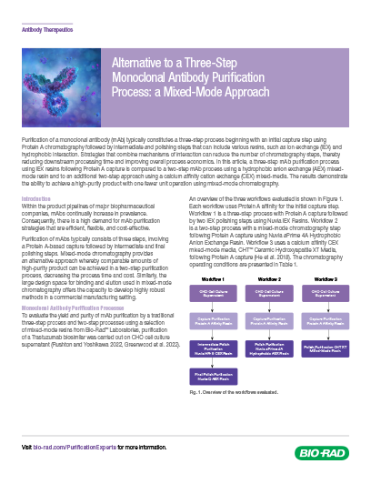 Simplifying Antibody Purification: Alternative to 3-Step Process