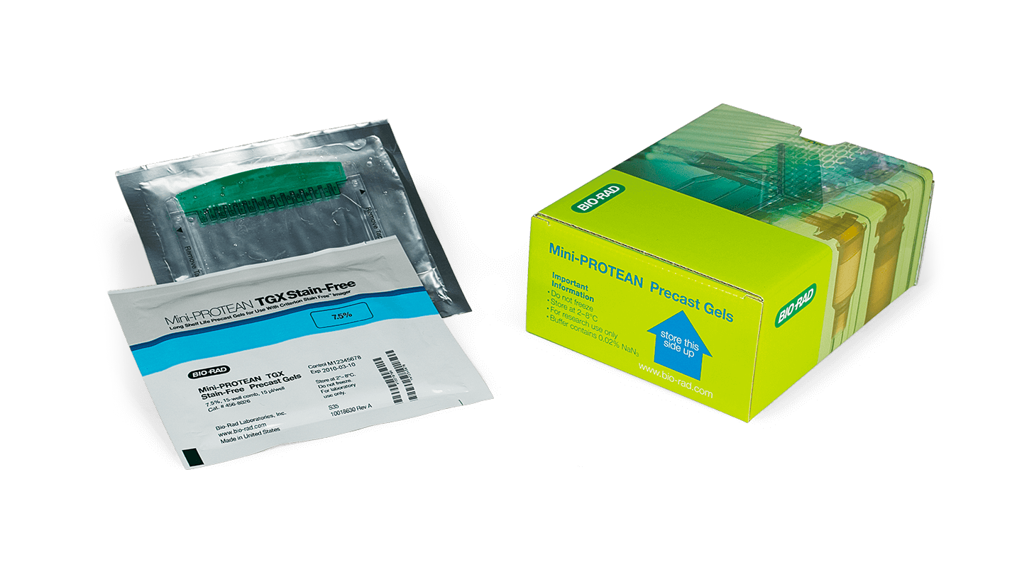 Western Blot Kits Bio Rad Western Blot Kits Bio Rad