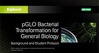 pGLO Bacterial Transformation for General Biology