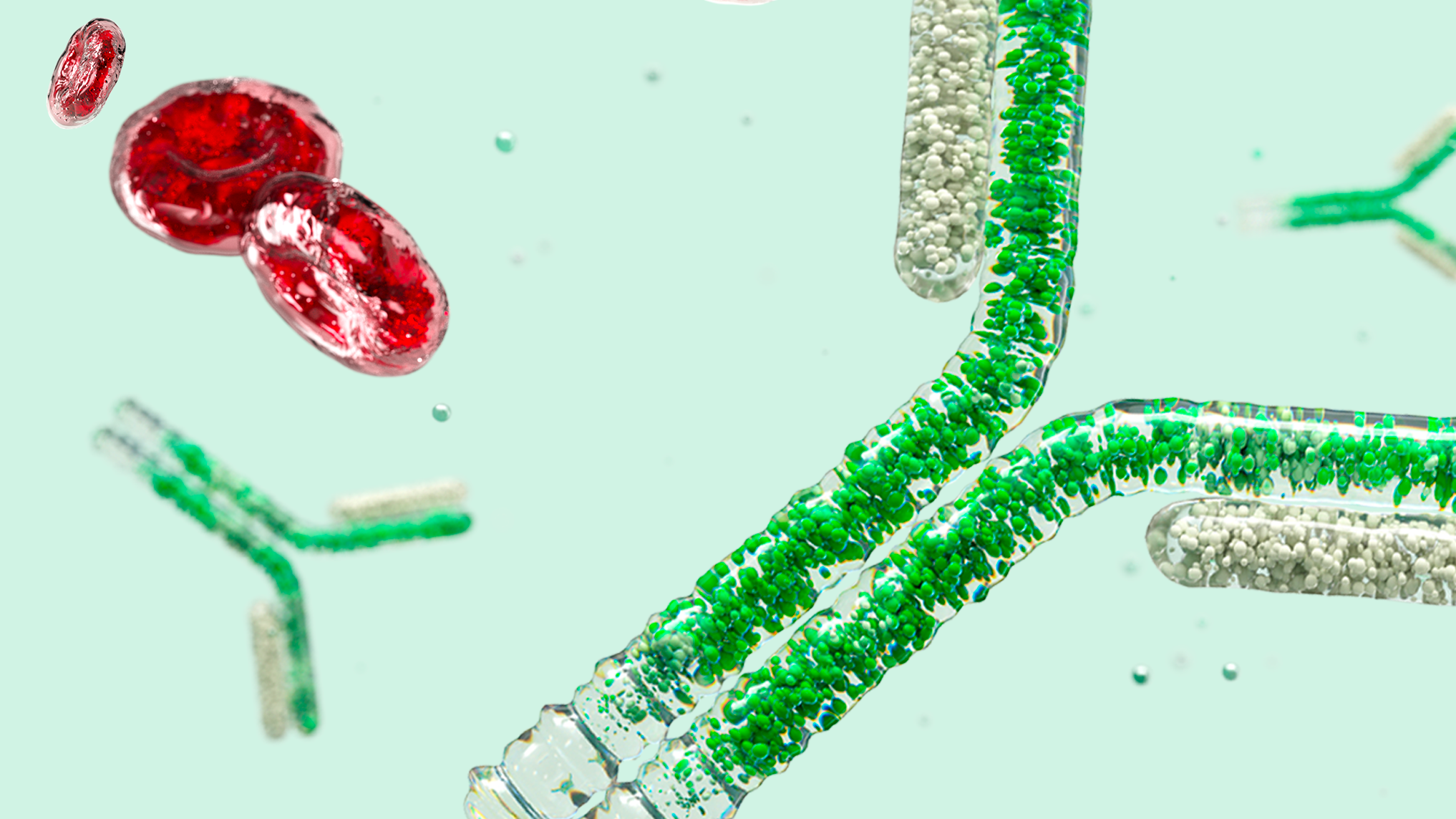 Blood Screening, Typing and Antibody Identification Products — Bio-Rad