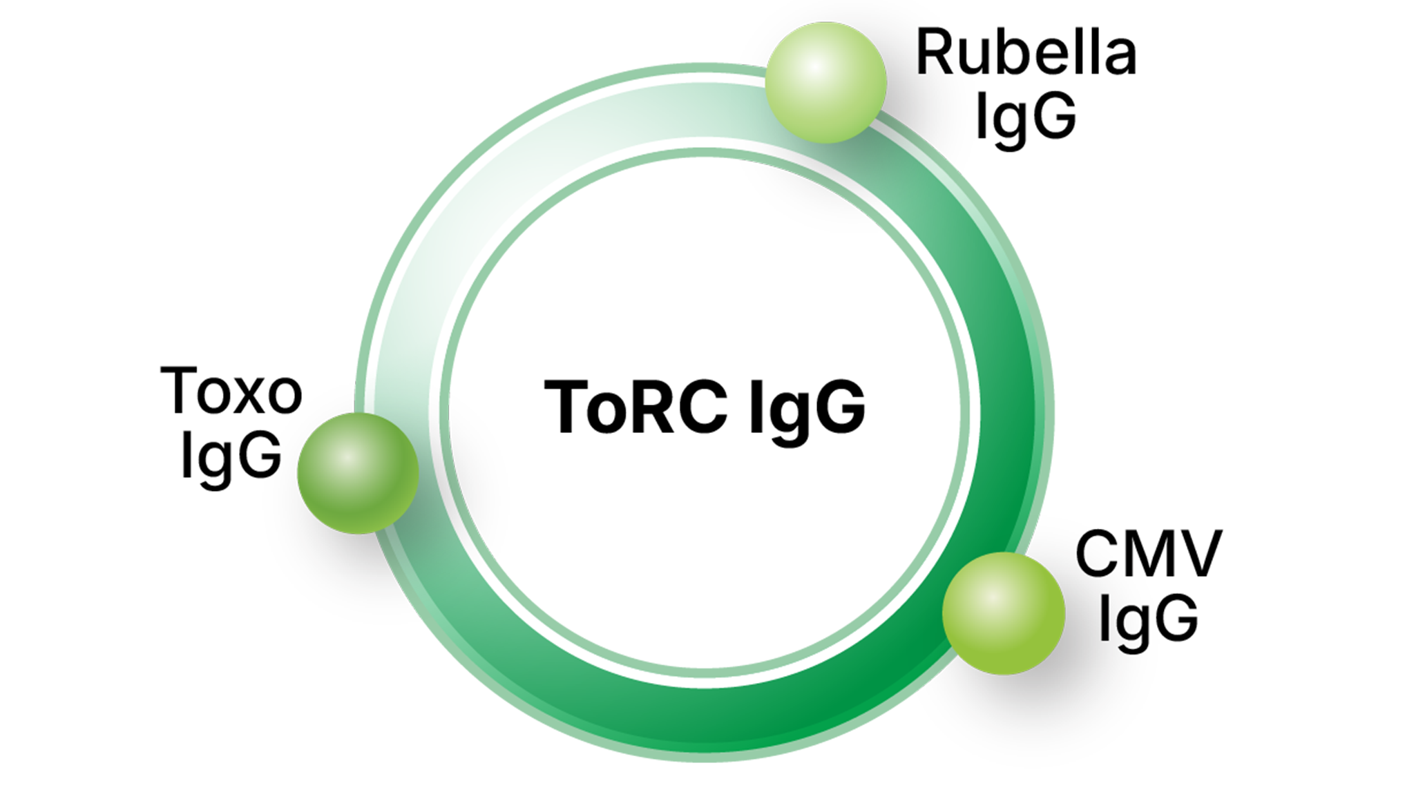 Green circular diagram labeled ToRC IgG with three markers: Toxo IgG, Rubella IgG, and CMV IgG.