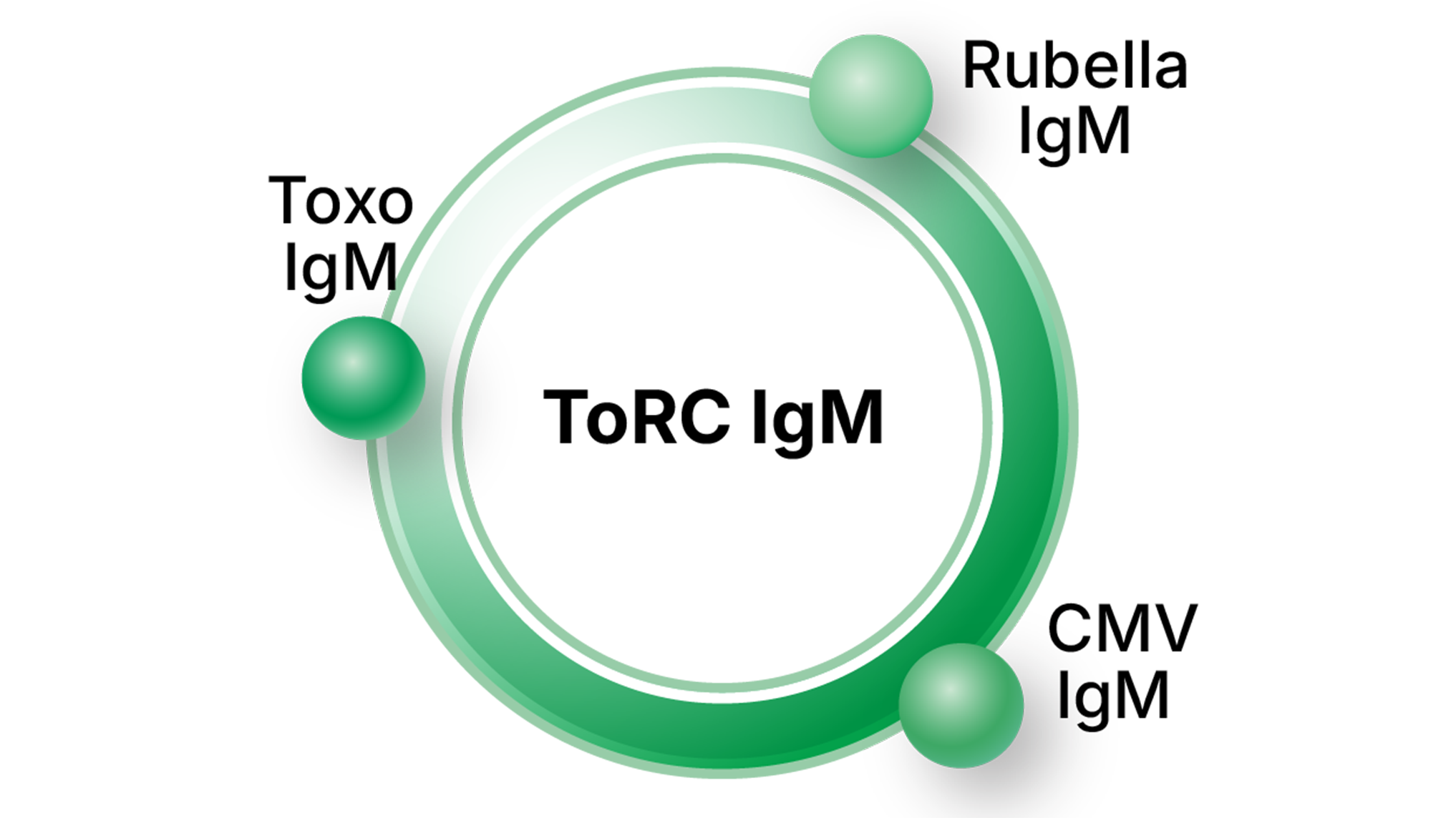 ToRC IgM bead wheel showing Toxo, Rubella, CMV
