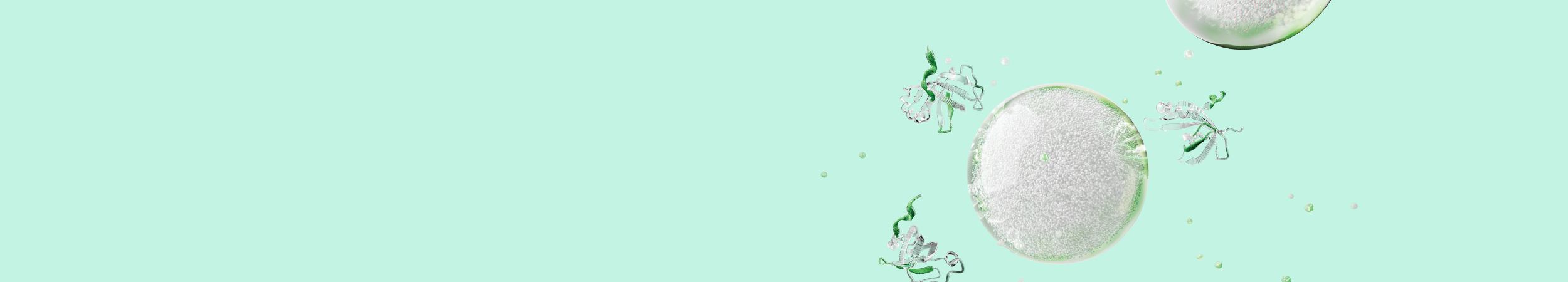 Proteins interacting with Beads-Alpha
