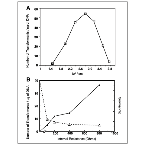 Graphs showing the transformation efficiency of T. harzianum under different electrical conditions