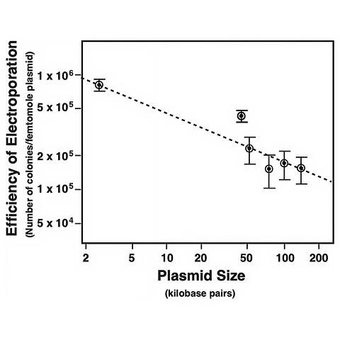 Scatter plot showing a negative correlation between plasmid size and electroporation efficiency.
