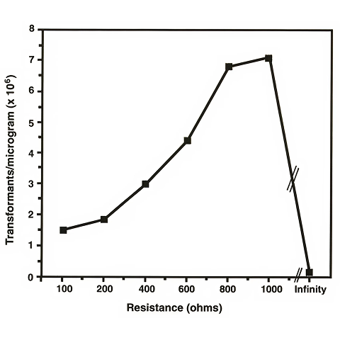 Line graph of transformation efficiency over time on ice.