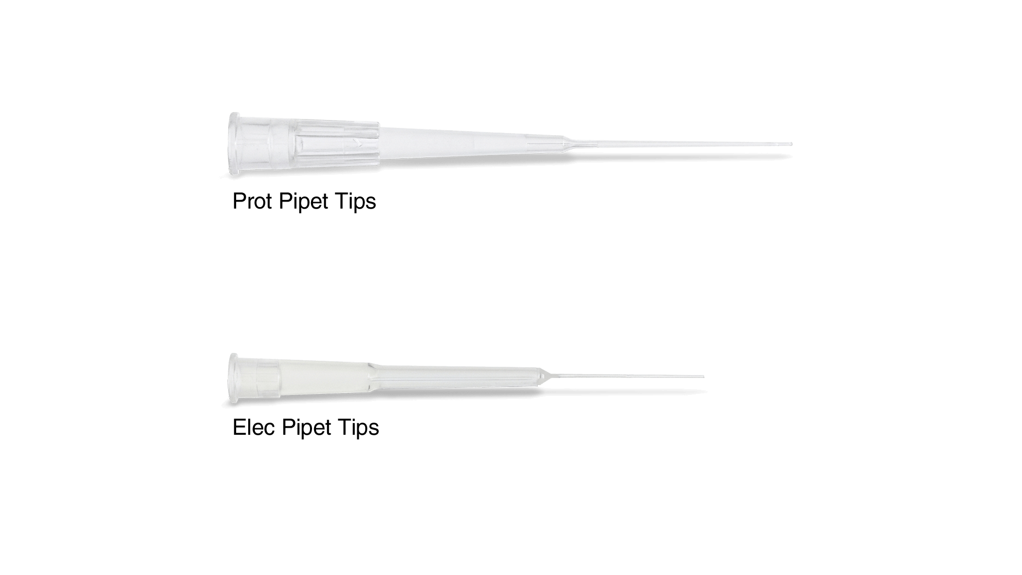 Prot/Elec Pipet Tips, 1–200 µl #12021138 | Bio-Rad