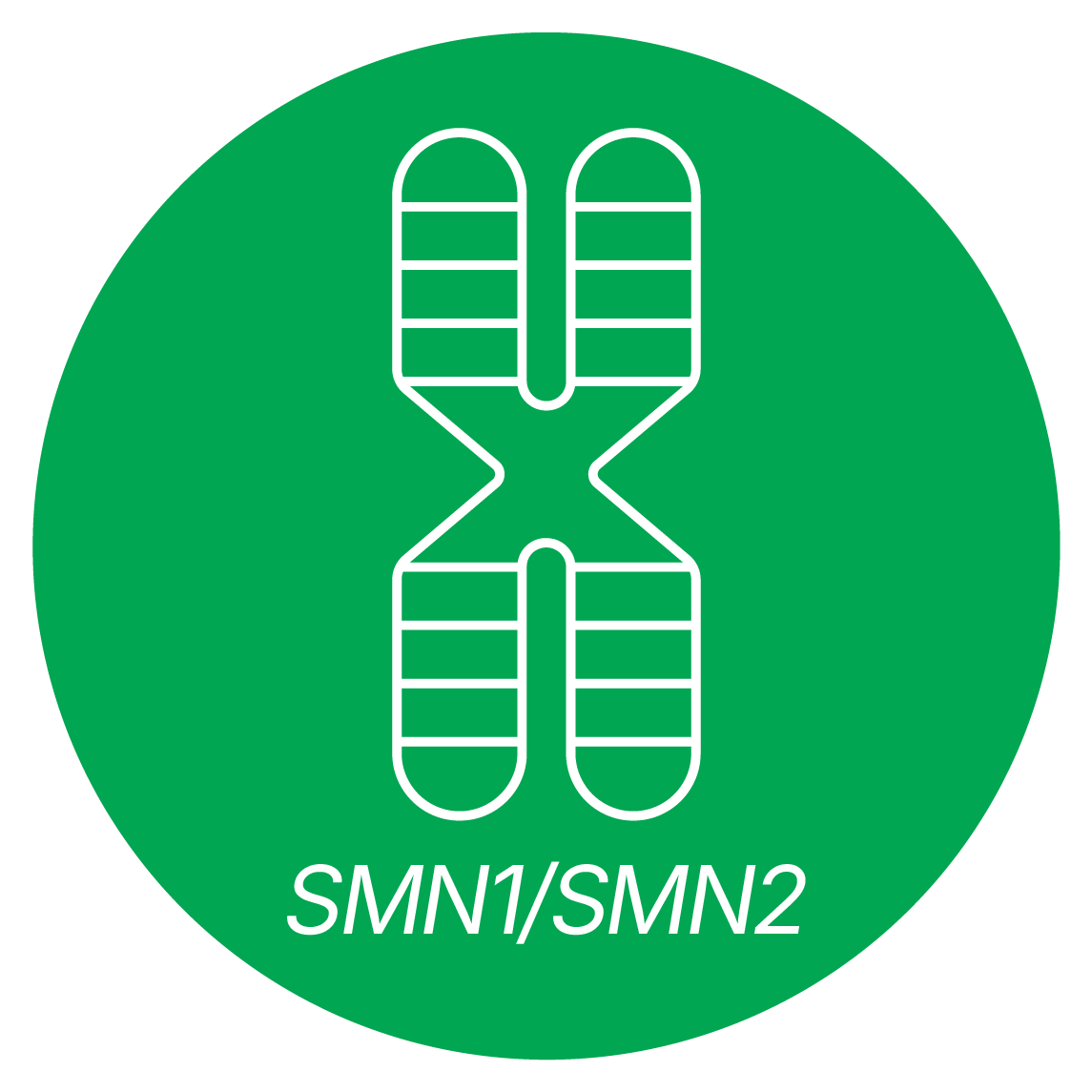Copy Number Variation