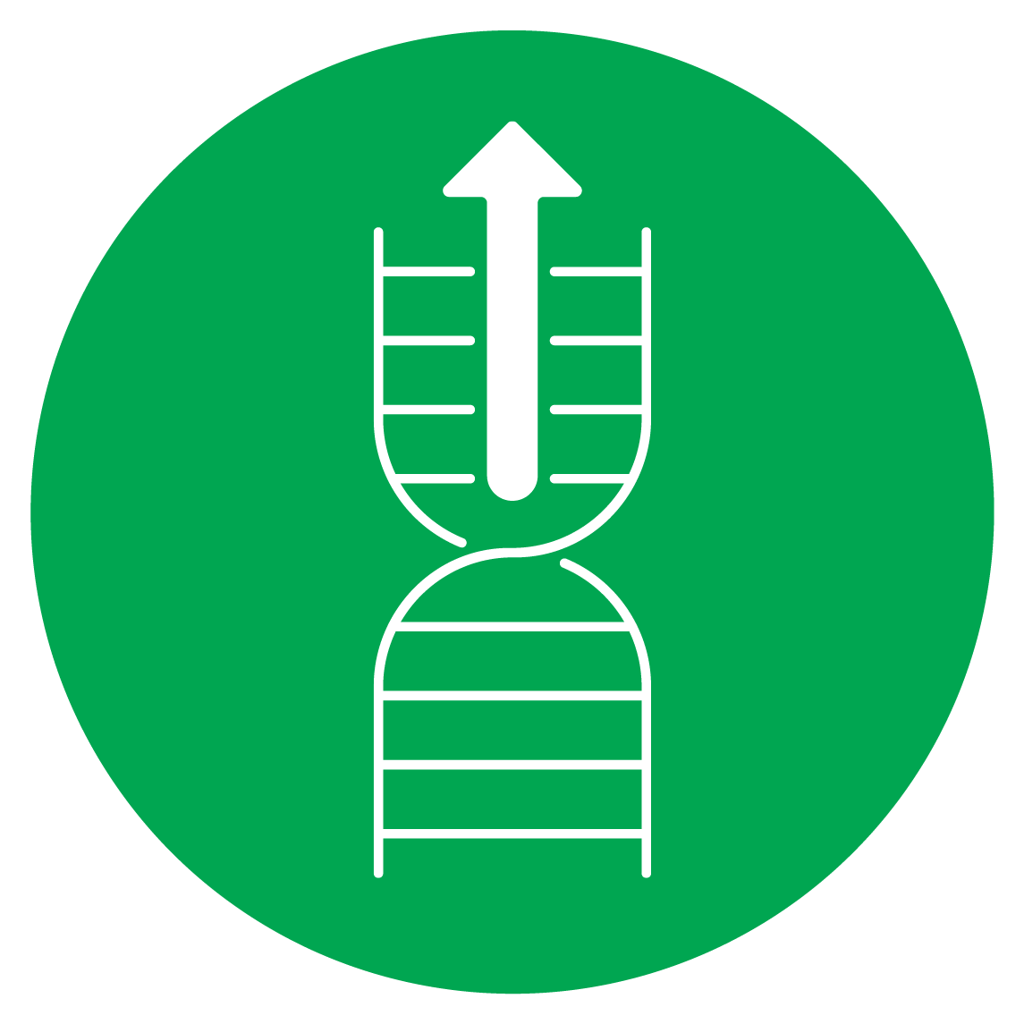 Gene Expression Analysis