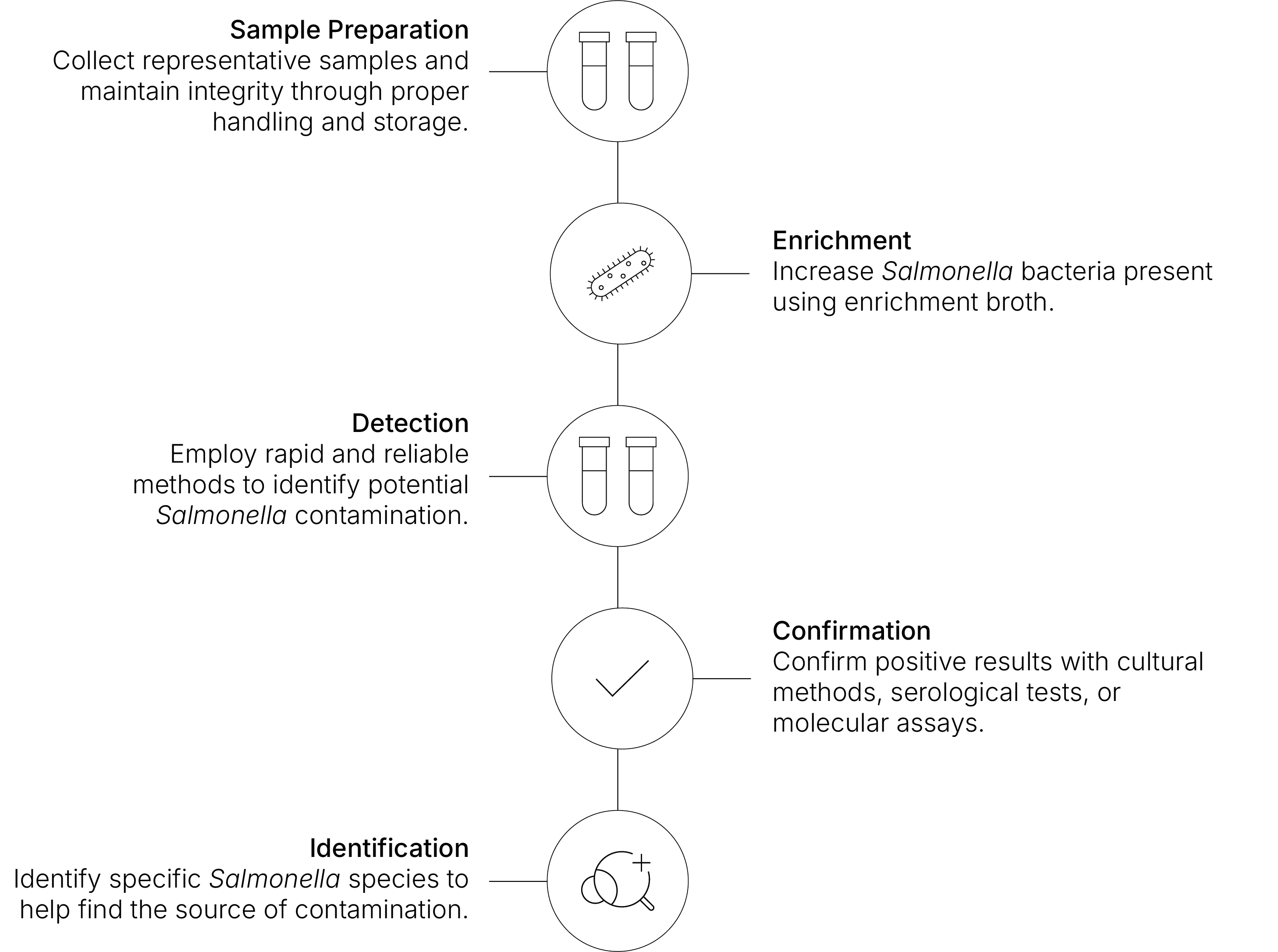 Salmonella workflow diagram