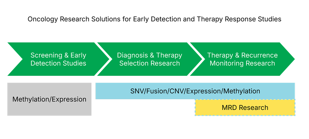 Flowchart illustrating a cancer care pathway with three green arrows labeled screening, diagnosis, and therapy stages, and boxes highlighting research methods.