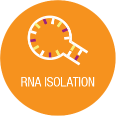 RNA Isolation