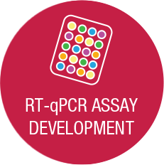 qPCR Assay Development