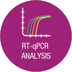 qPCR Analysis