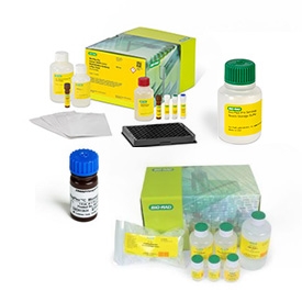 Bio-Plex SAR-CoV-2 Antibody Kit