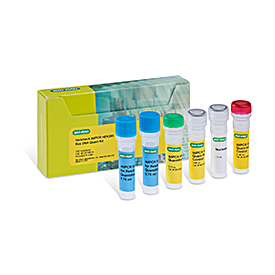 Vericheck ddPCR HEK293 Residual DNA Quantification Kit