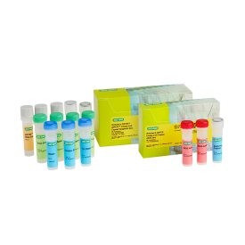 Vericheck QX700™ ddPCR™ Empty-Full Capsid AAV5 Kit