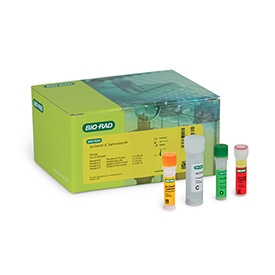 iQ-Check S. Typhimurium PCR Detection Kit