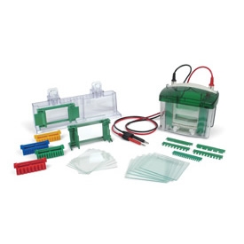 Mini-PROTEAN Tetra Vertical Electrophoresis for Handcast Gels (1.0 mm), 4-gel