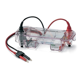 Mini-Sub Cell GT Cell With Casting Gates #1664270EDU | Bio-Rad