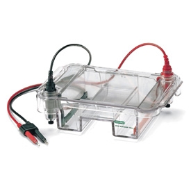 Wide Mini-Sub Cell GT Cell