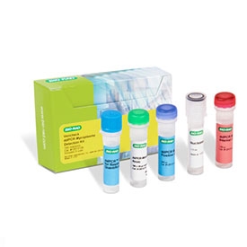 Vericheck ddPCR Mycoplasma Detection Kit