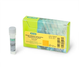 iScript™ Reverse Transcription Supermix, 25 x 20 mul rxns, 100 mul