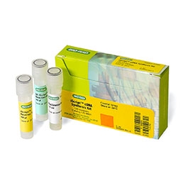 iScript™ cDNA Synthesis Kit, 25 x 20 mul rxns