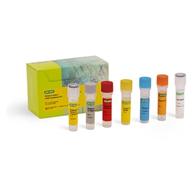 Reliance Select cDNA Synthesis Kit, 500 x 20 mul reactions