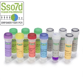 High Fidelity Pcr Kits , CloneAmp HiFi PCR Premix—high-fidelity PCR for ...