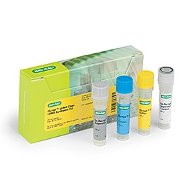 iScript gDNA Clear cDNA Synthesis Kit, 100 x 20 mul reactions