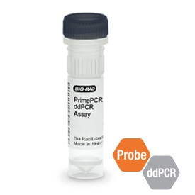 PrimePCR™ ddPCR™ Copy Number Assay Kit: BRCA1, Human #1863304