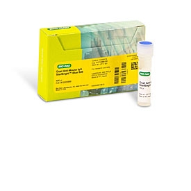 StarBright™ Blue 520 Goat Anti-Mouse IgG, 400 µl #12005866 | Bio-Rad