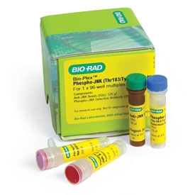 Bio-Plex Phospho-JNK (Thr183/Tyr185) Assay