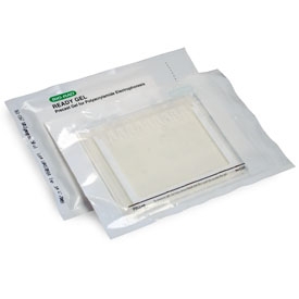 12% Ready Gel® Zymogram Gel, 10 well, 30 µl #1611114 | Bio-Rad