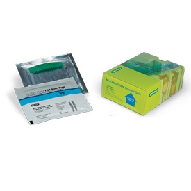 7.5% ミニプロティアン TGX Stain-Free™ ゲル #4568026 | Bio-Rad