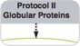 chrom_cht_globular_protein_protocol.jpg