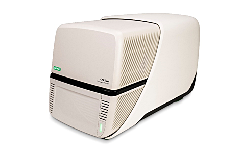 CFX Duet Real-Time PCR System