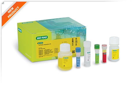 iQ-Check Aspergillus PCR Detection Kit