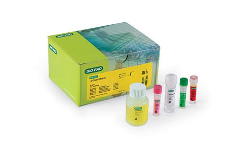 iQ-Check Vibrio PCR Detection Kit